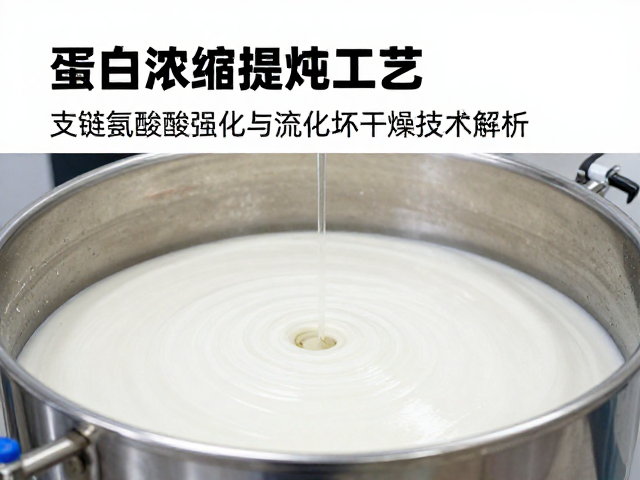 蛋白浓缩提纯工艺讲解，支链氨基酸强化与流化床干燥技术解析
