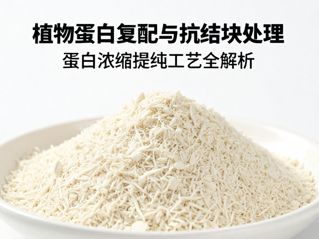 植物蛋白复配与抗结块处理，蛋白浓缩提纯工艺全解析