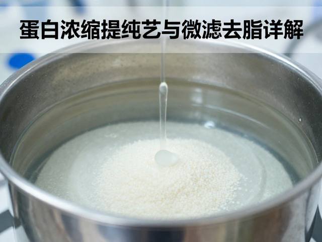 蛋白浓缩提纯工艺与微滤去脂详解,维生素矿物质强化指南