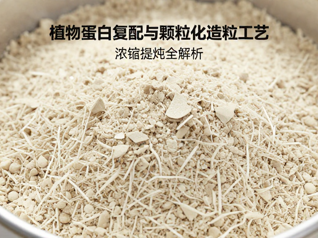 植物蛋白复配与颗粒化造粒工艺,蛋白浓缩提纯全解析
