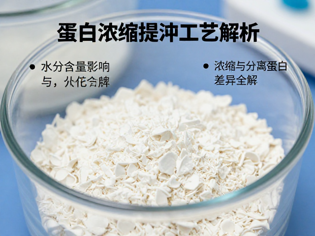 蛋白浓缩提纯工艺解析,水分含量影响,浓缩与分离蛋白差异全解