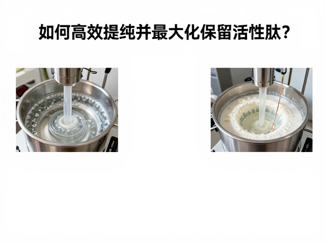 分离乳清蛋白工艺,如何高效提纯并最大化保留活性肽?