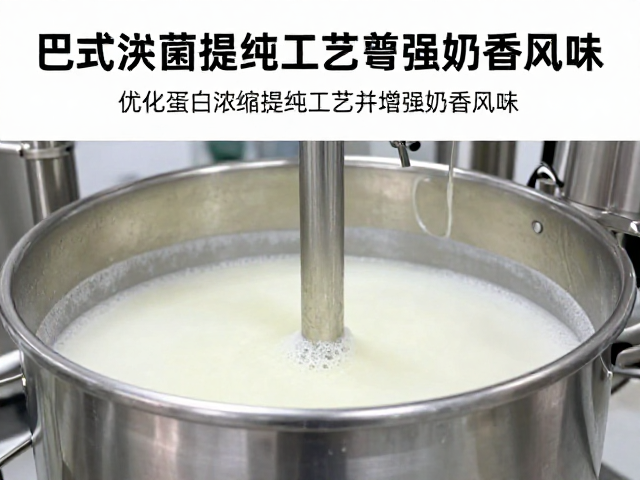巴氏杀菌设备如何优化蛋白浓缩提纯工艺并增强奶香风味