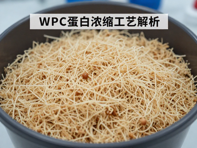 WPC蛋白浓缩工艺解析,离子交换提纯技术全讲解