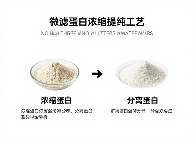 微滤蛋白浓缩提纯工艺,浓缩蛋白与分离蛋白差异全解析