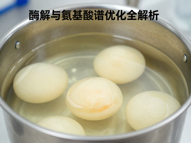 蛋白浓缩提纯工艺，酶解与氨基酸谱优化全解析