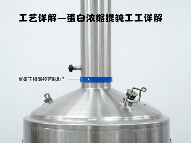 喷雾干燥塔工艺详解，如何通过蛋白浓缩提纯控制苦味肽？