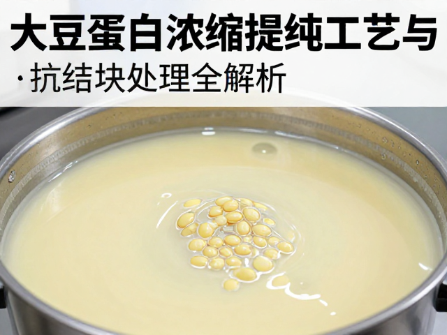 大豆蛋白浓缩提纯工艺与抗结块处理全解析