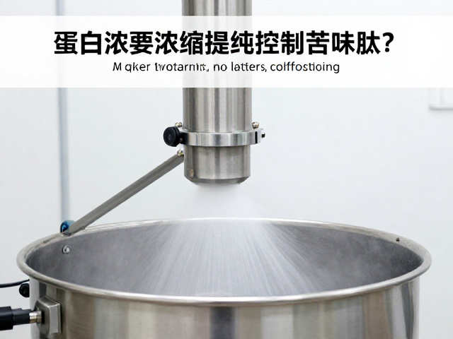 喷雾干燥塔工艺详解,如何通过蛋白浓缩提纯控制苦味肽?