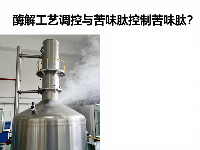 喷雾干燥塔工艺详解,如何通过蛋白浓缩提纯控制苦味肽?