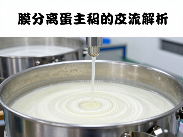 膜分离浓缩技术，蛋白提纯工艺与香精调配全流程解析
