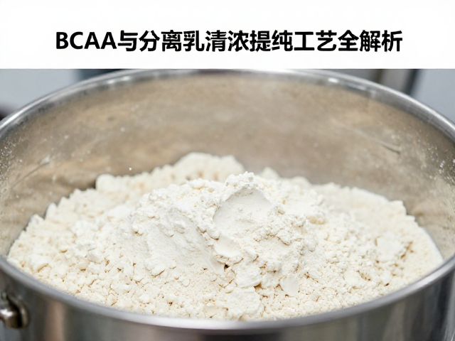 BCAA与分离乳清蛋白,蛋白浓缩提纯工艺全解析