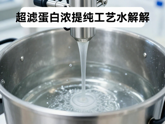 超滤蛋白浓缩提纯工艺讲解,如何精准控制水解度