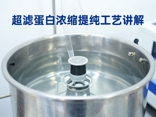 超滤蛋白浓缩提纯工艺讲解,如何精准控制水解度