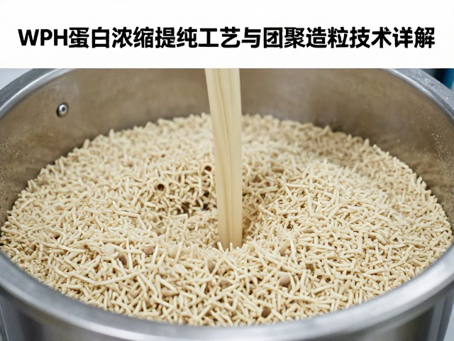 WPH蛋白浓缩提纯工艺与团聚造粒技术详解