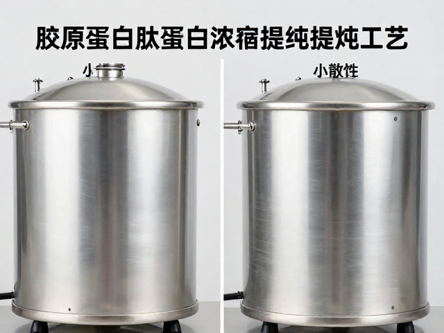 胶原蛋白肽蛋白浓缩提纯工艺，如何优化分散性提升吸收率