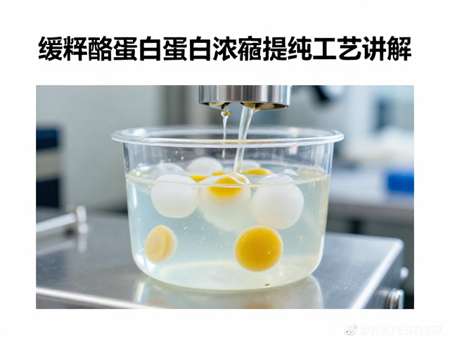 缓释酪蛋白蛋白浓缩提纯工艺讲解，如何精准控制水解度