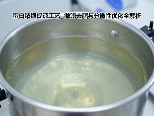 蛋白浓缩提纯工艺，微滤去脂与分散性优化全解析