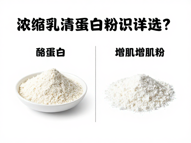 浓缩乳清蛋白粉知识详解,酪蛋白与增肌粉怎么选?