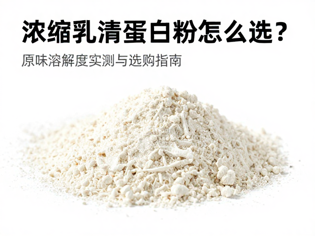 浓缩乳清蛋白粉怎么选?原味溶解度实测与选购指南
