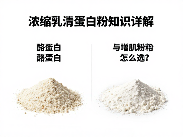 浓缩乳清蛋白粉知识详解,酪蛋白与增肌粉怎么选?