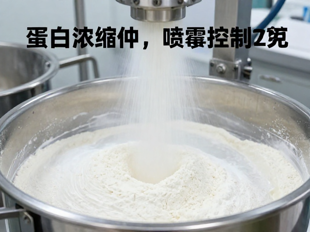 蛋白浓缩提纯工艺，喷雾干燥成粉与水解度精准控制详解