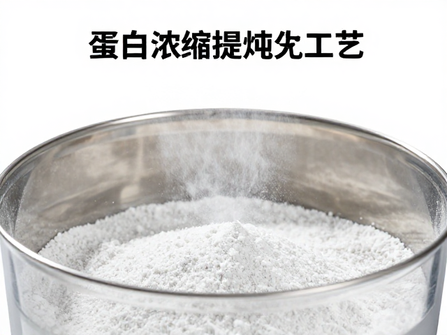 蛋白浓缩提纯工艺，喷雾干燥成粉与水解度精准控制详解