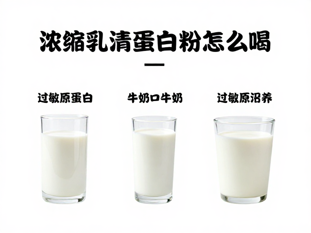浓缩乳清蛋白粉怎么喝？搭配牛奶冲饮指南，过敏原识别