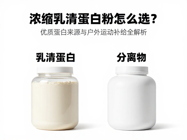 浓缩乳清蛋白粉怎么选？优质蛋白来源与户外运动补给全解析