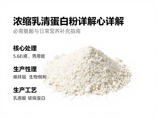 浓缩乳清蛋白粉详解，必需氨基酸与日常营养补充指南
