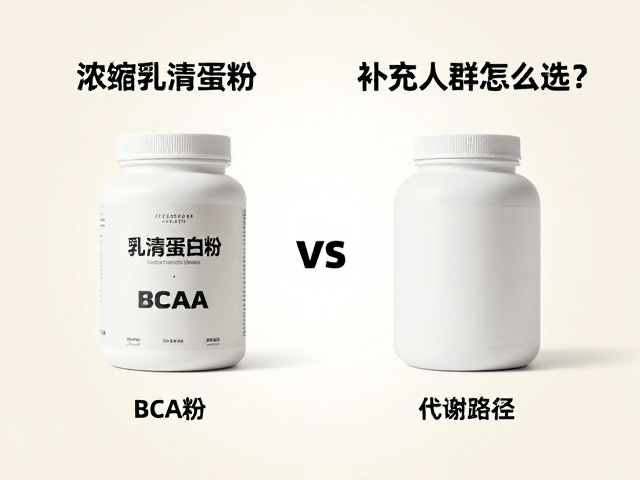 浓缩乳清蛋白粉与BCAA区别，日常营养补充人群怎么选？