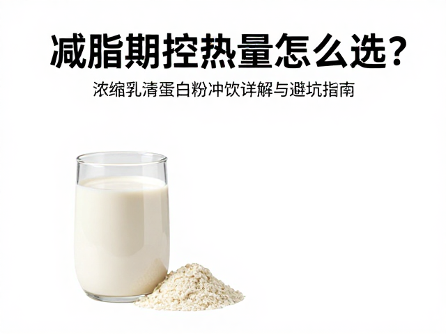 减脂期控热量怎么选?浓缩乳清蛋白粉冲饮详解与避坑指南