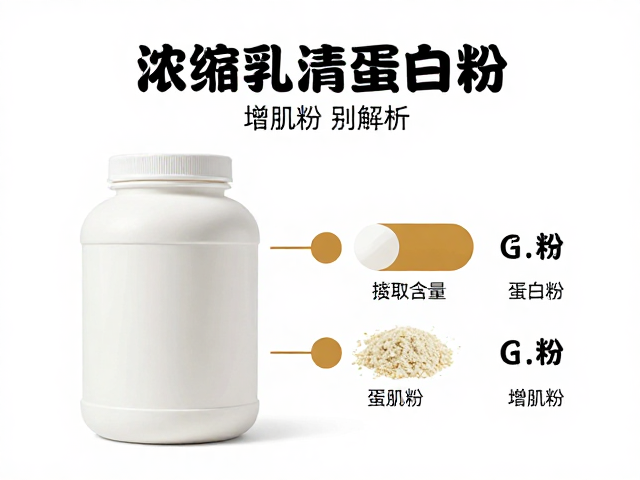 浓缩乳清蛋白粉知识详解，每份蛋白含量与增肌粉区别解析