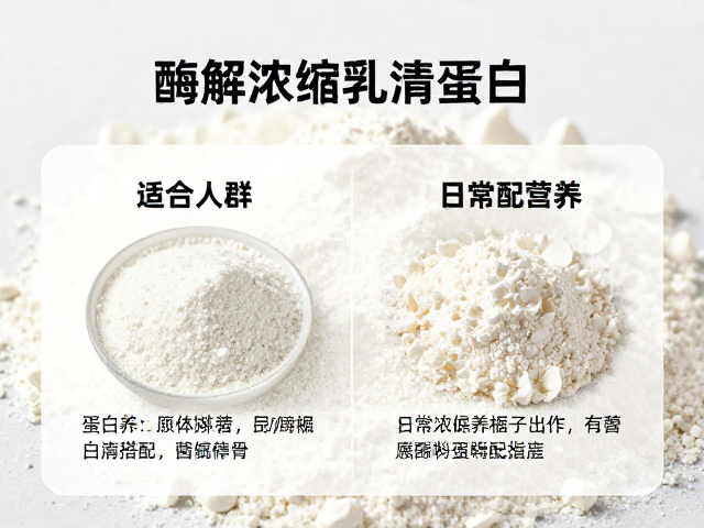 酶解浓缩乳清蛋白粉详解,适合人群与日常营养补充指南