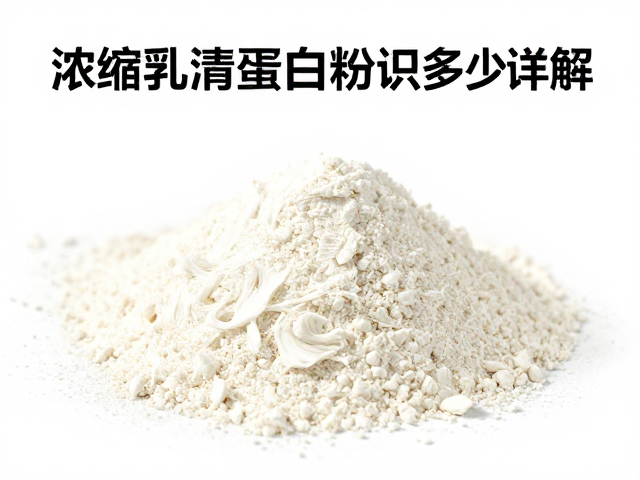 浓缩乳清蛋白粉知识详解，每份蛋白含量多少？