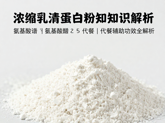 浓缩乳清蛋白粉知识详解，氨基酸谱与代餐辅助功效全解析