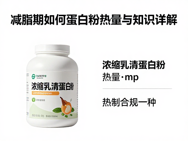 减脂期如何高效提升蛋白摄入？浓缩乳清蛋白粉热量与知识详解