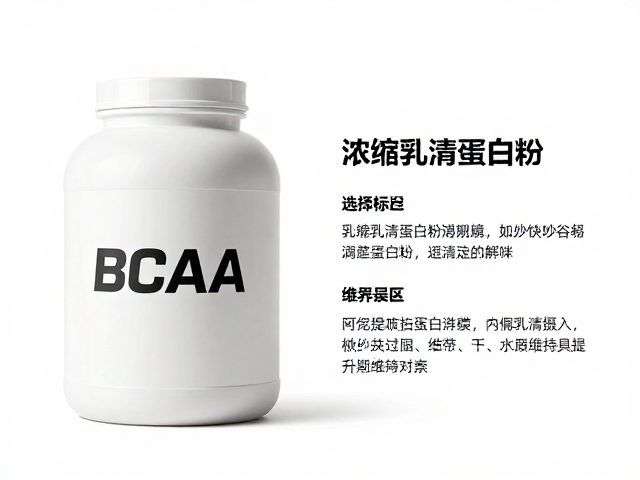 浓缩乳清蛋白粉与BCAA详解,如何高效提升蛋白摄入
