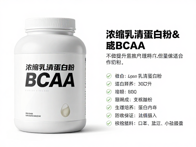 浓缩乳清蛋白粉与BCAA详解，如何高效提升蛋白摄入