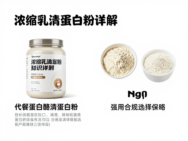 浓缩乳清蛋白粉知识详解,与代餐蛋白粉、酪蛋白粉的区别与选择指南