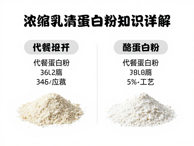 浓缩乳清蛋白粉知识详解,与代餐蛋白粉、酪蛋白粉的区别与选择指南