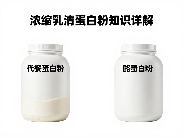 浓缩乳清蛋白粉知识详解,与代餐蛋白粉、酪蛋白粉的区别与选择指南