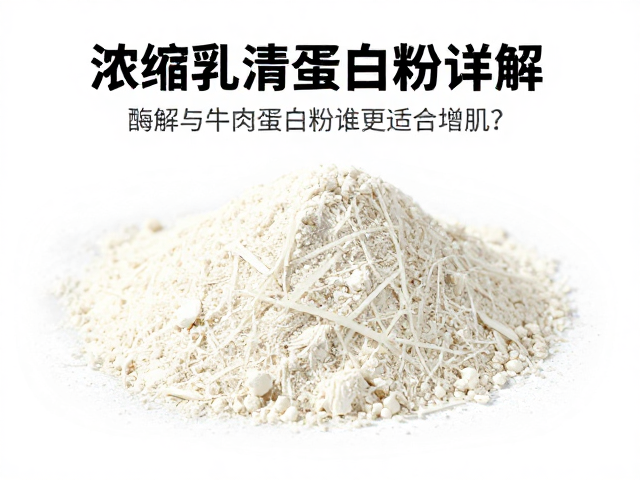 浓缩乳清蛋白粉详解,酶解与牛肉蛋白粉谁更适合增肌?