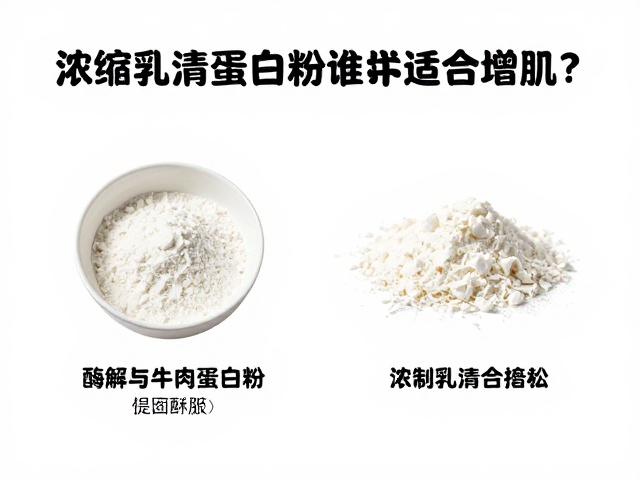 浓缩乳清蛋白粉详解,酶解与牛肉蛋白粉谁更适合增肌?
