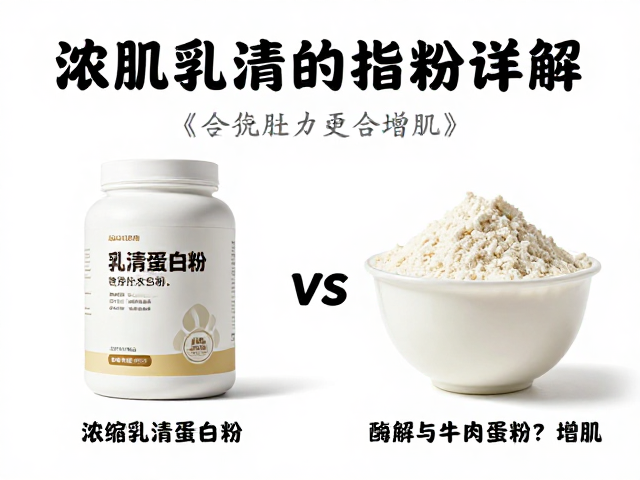 浓缩乳清蛋白粉详解,酶解与牛肉蛋白粉谁更适合增肌?