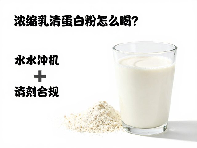 浓缩乳清蛋白粉怎么喝?粉末搭配水冲饮详解,吸收更高效