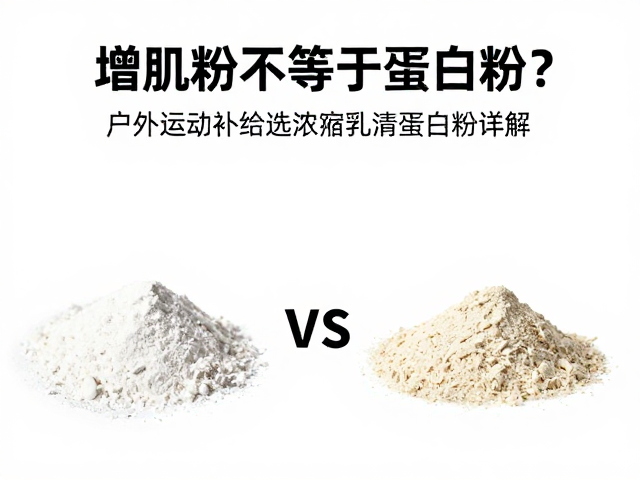 增肌粉不等于蛋白粉？户外运动补给选浓缩乳清蛋白粉详解