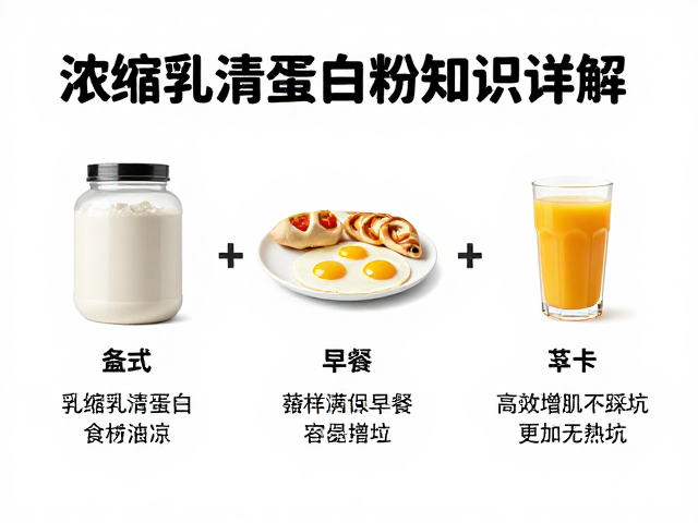 浓缩乳清蛋白粉知识详解，3大早餐搭配公式，高效增肌不踩坑