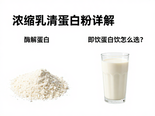浓缩乳清蛋白粉详解，酶解蛋白与即饮蛋白饮怎么选？