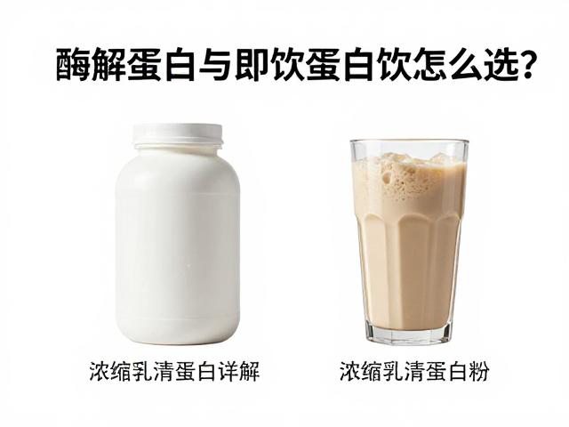 浓缩乳清蛋白粉详解,酶解蛋白与即饮蛋白饮怎么选?